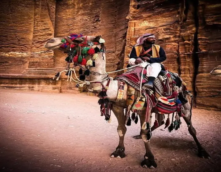 5-Day Highlights of Jordan: Amman, Petra, Wadi Rum & the Dead Sea